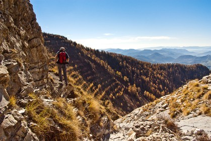 Le Piolit,, Forêt du Sapet