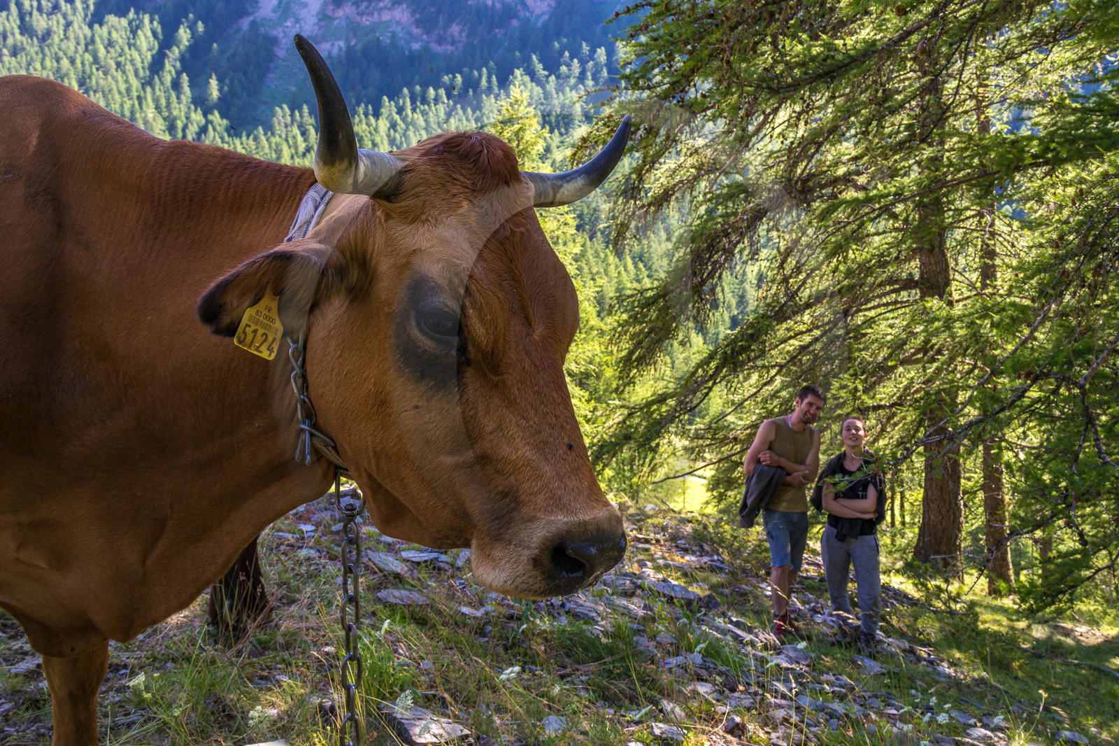 Fromagerie fermière de Pra Chiriou