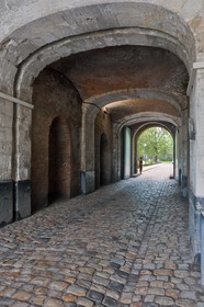 Arras