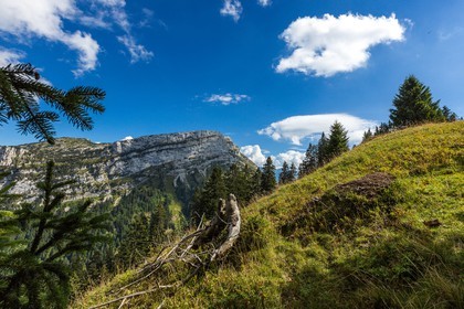 Espace naturel sensible de l'Isère, Col du Coq