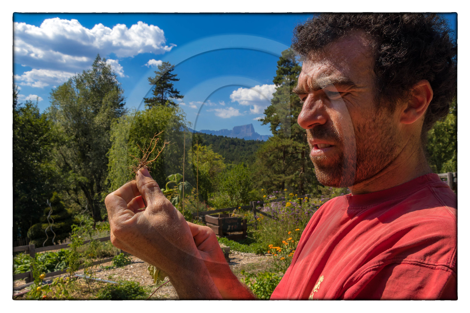 Pascal Aspe, Parc écologique Terre Vivante