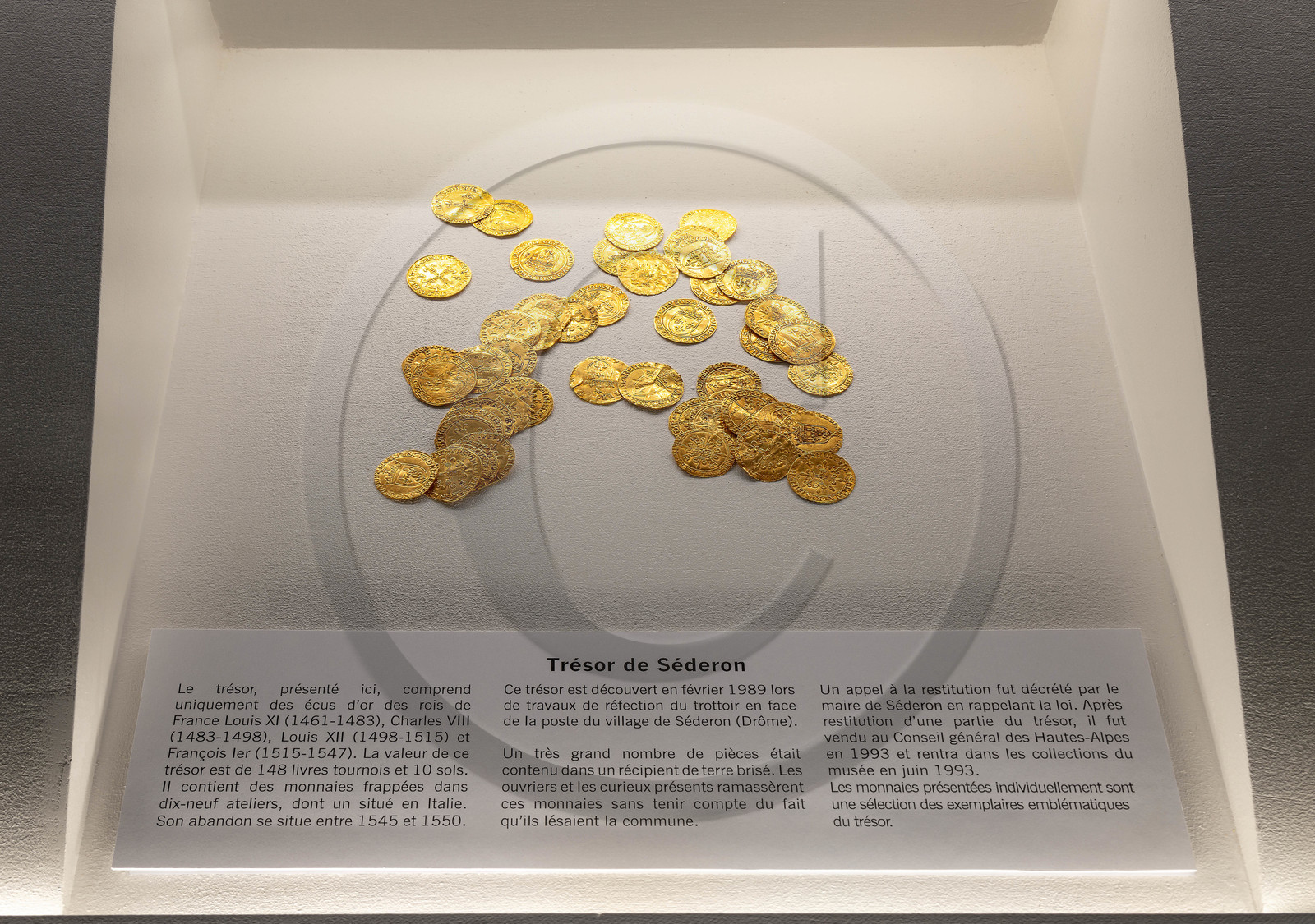Musée Muséum départemental des Hautes-Alpes,  le trésor monétaire de Séderon