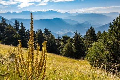 Les Monges, du col de la Pinée