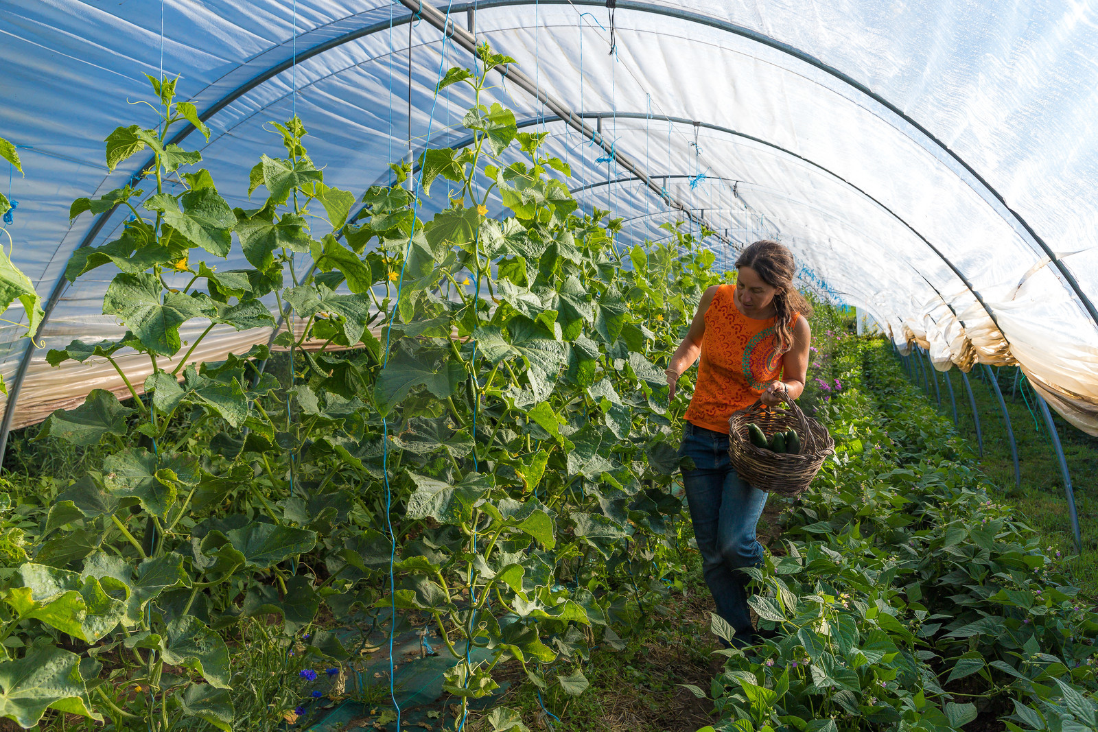 LéguMontagne, Sylvie Jaussaud et  Bertille Gieu, Maraîchères bio
