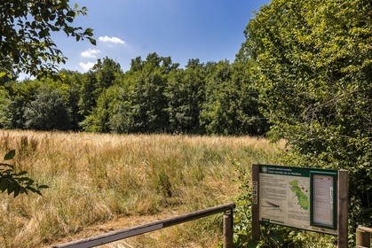 ENS de l'Isère, Zone humide de la Merlière