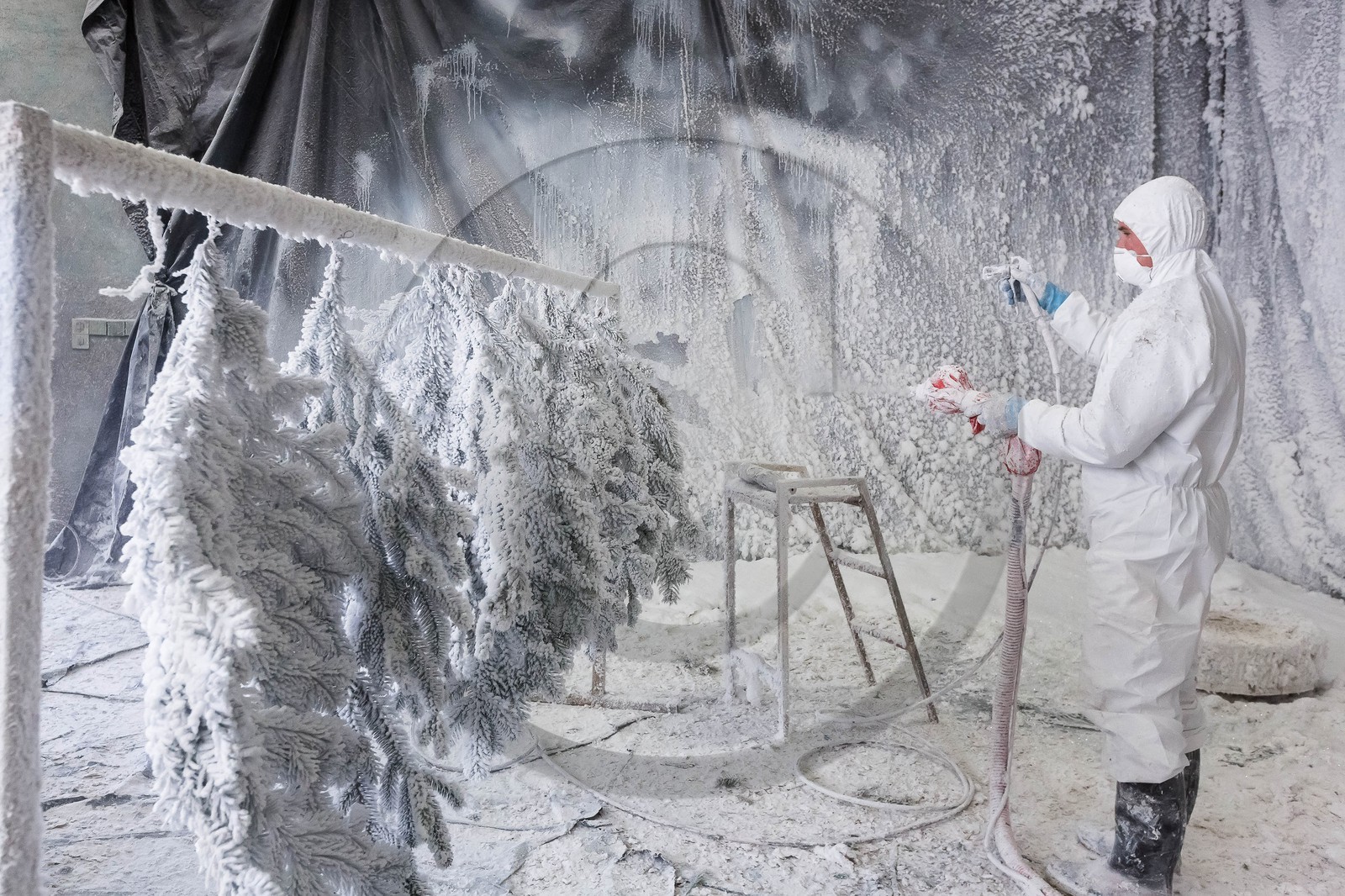 Pépinière Robin, producteur de sapin de Noël
