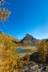 Jausiers, Lac des Sagnes et forêt de mélèzes à l'automne
