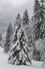 ENS de l'Isère, Les Ecouges