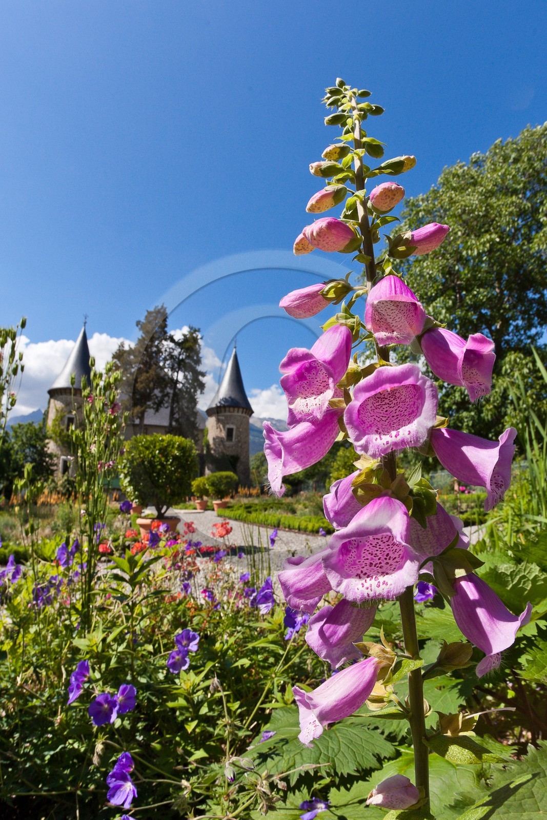 Château de Picomtal,  les jardins du château