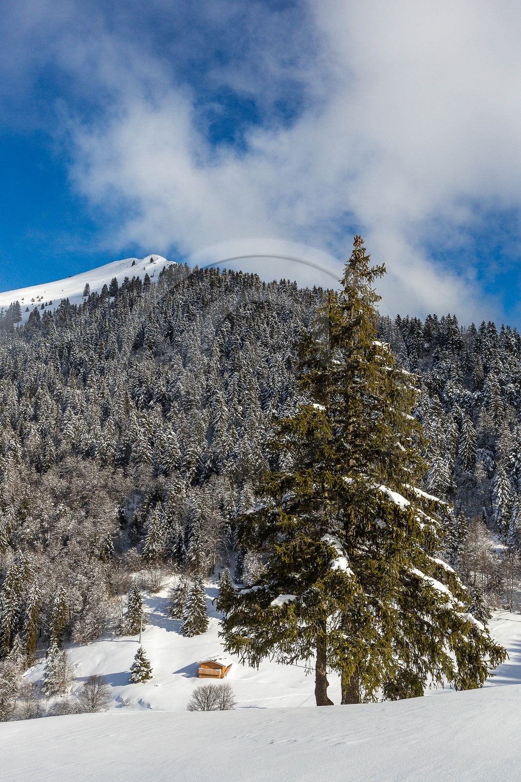 Espace naturel sensible de l'Isère, Col du Coq