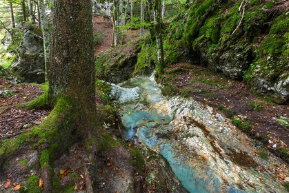 ENS de l'Isère, Les Ecouges