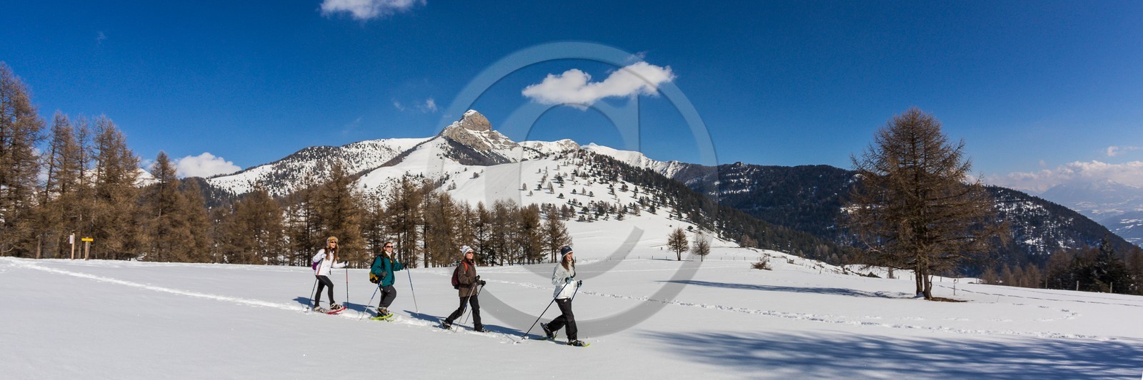 Ancelle, col de Moissière, randonnée à raquettes à neige