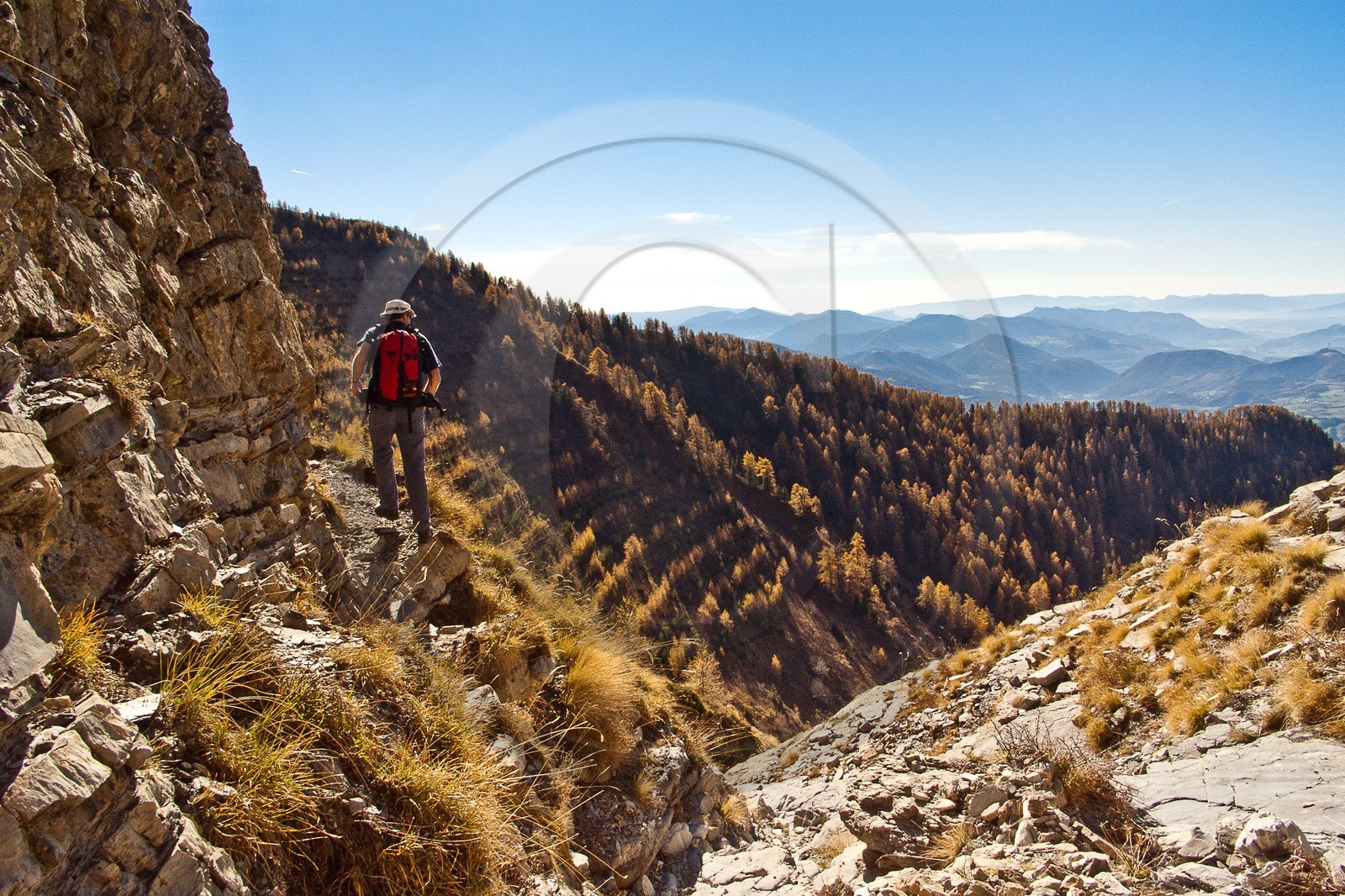 Le Piolit,, Forêt du Sapet