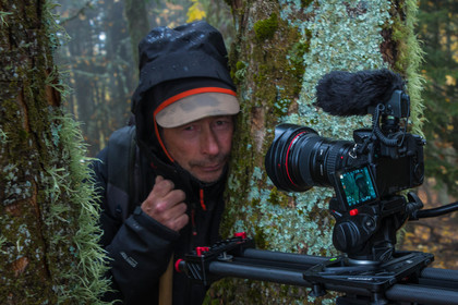 Film : La vallée des loups