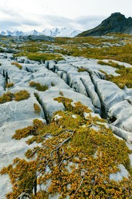 Désert de Platé, le Dérochoir et le Mont-Blanc