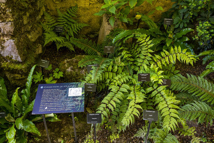 Jardin des Cinq Sens