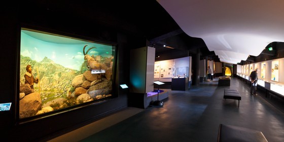 Tende, Musée des Merveilles