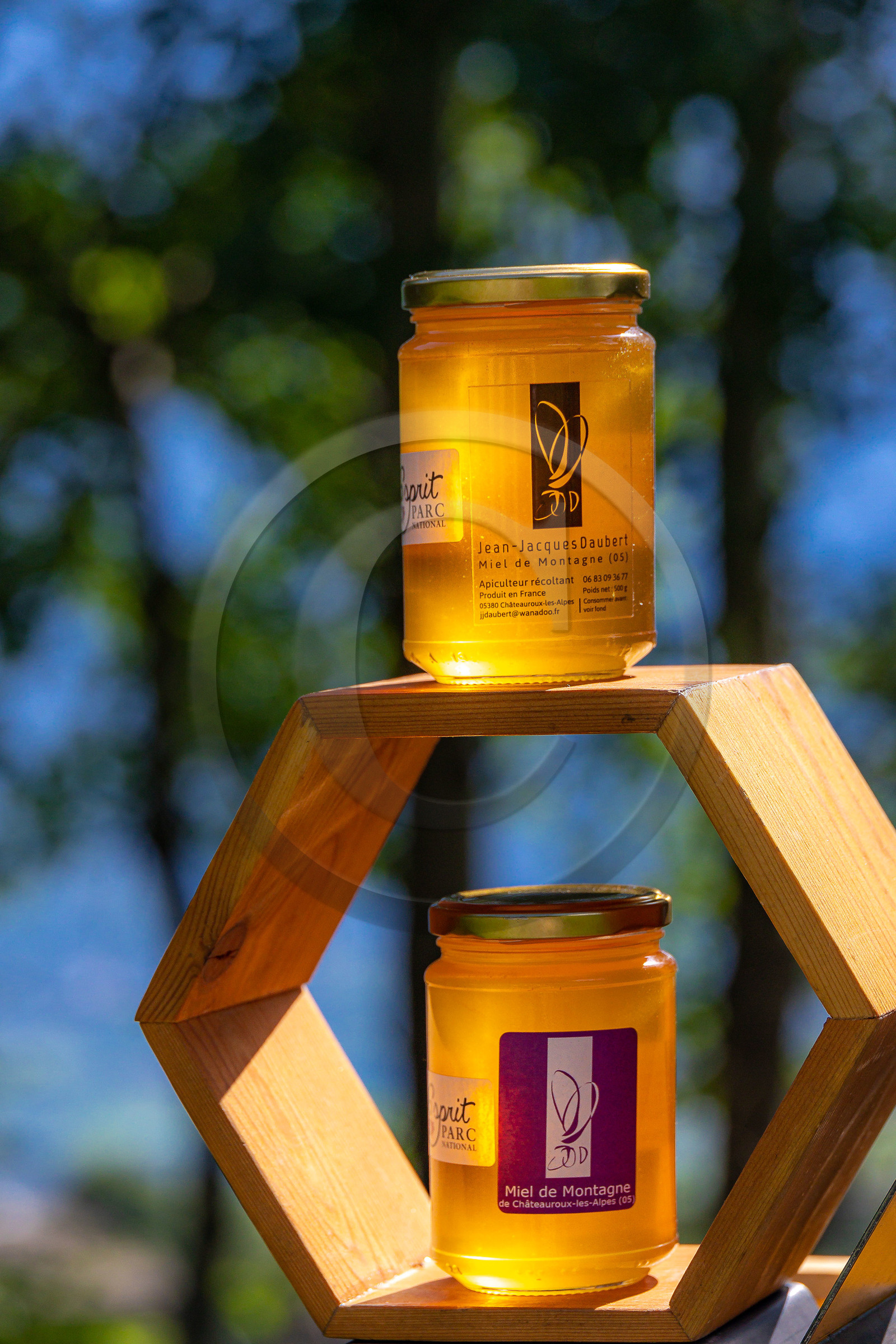 Jean-Jacques Daubert - Apiculteur