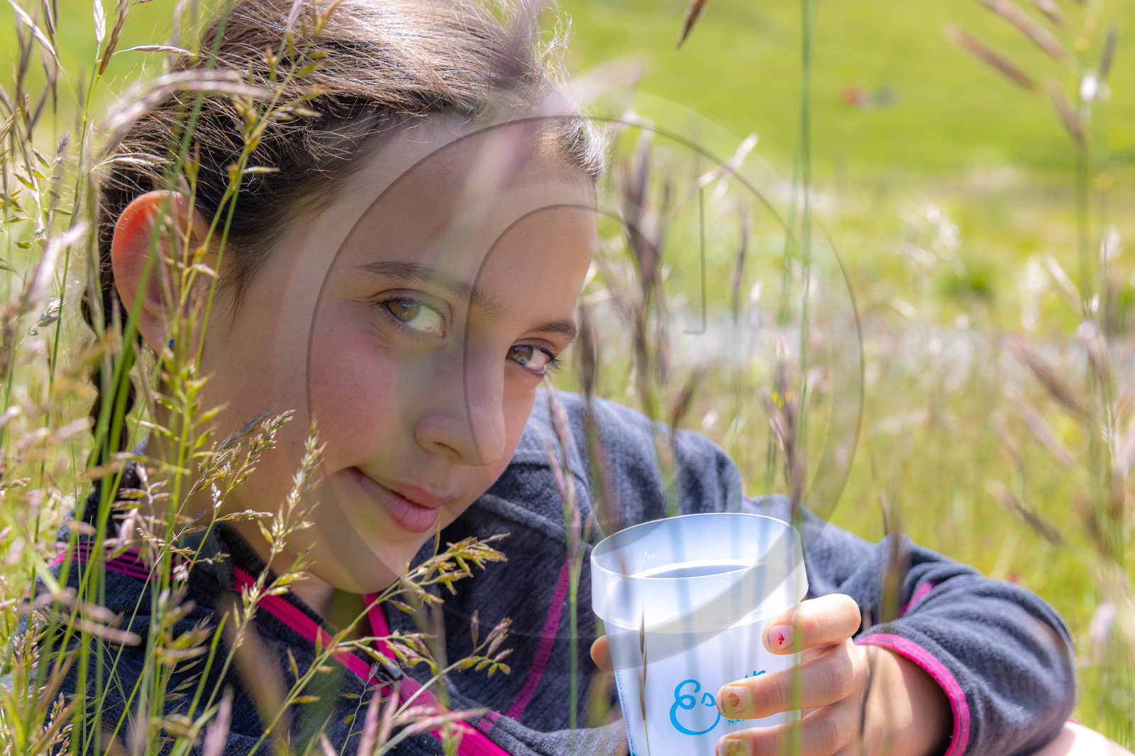 Trek famille avec animaux de bats