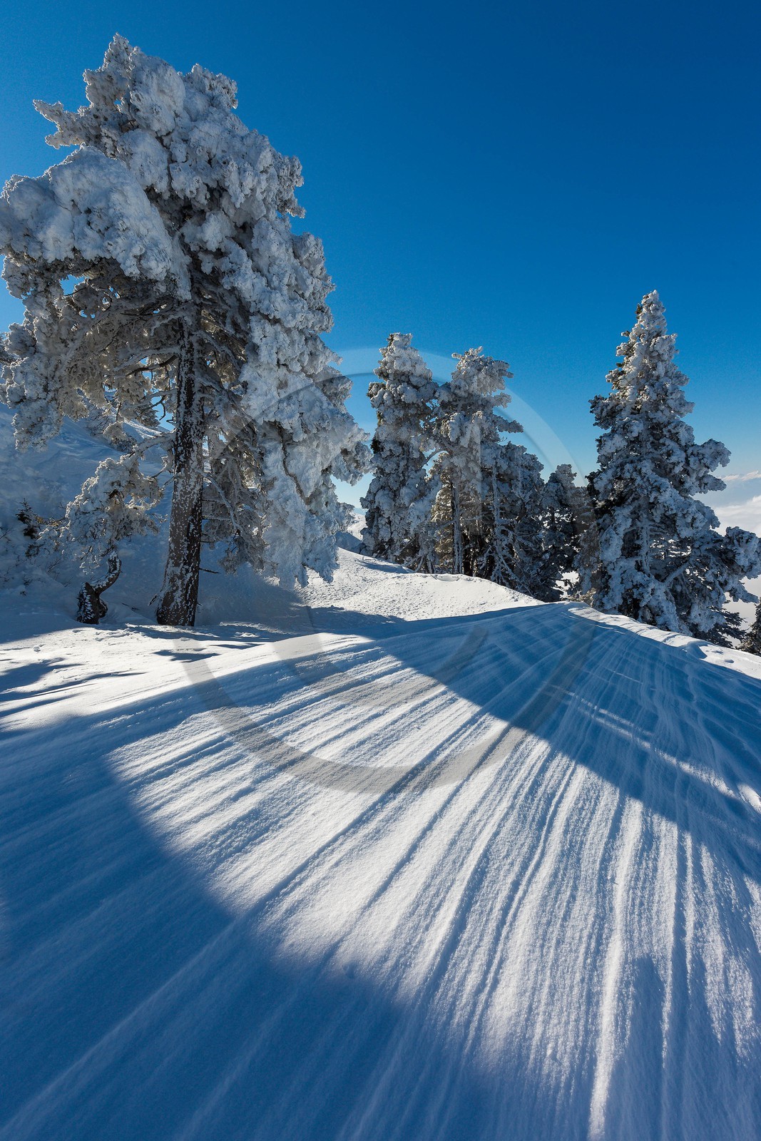 Espace naturel sensible de l'Isère, Col du Coq