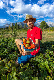 Ecrins de fruits, producteur de fruits rouges
