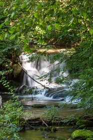 ENS de l'Isère, étang de Cote Manin
