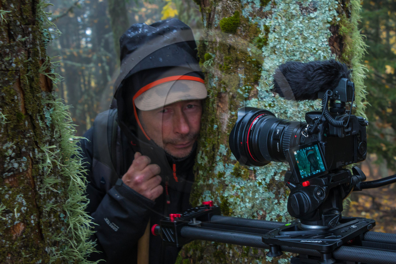Film : La vallée des loups