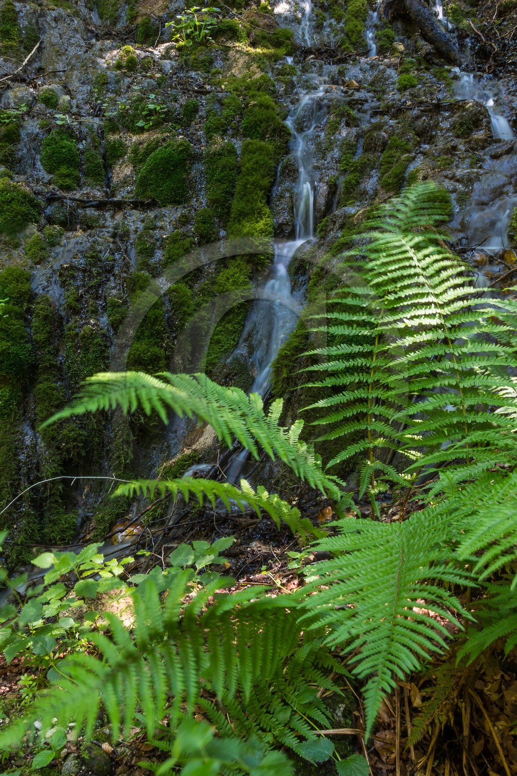 ENS de l'Isère, Les Ecouges