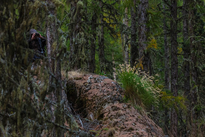Film : La vallée des loups