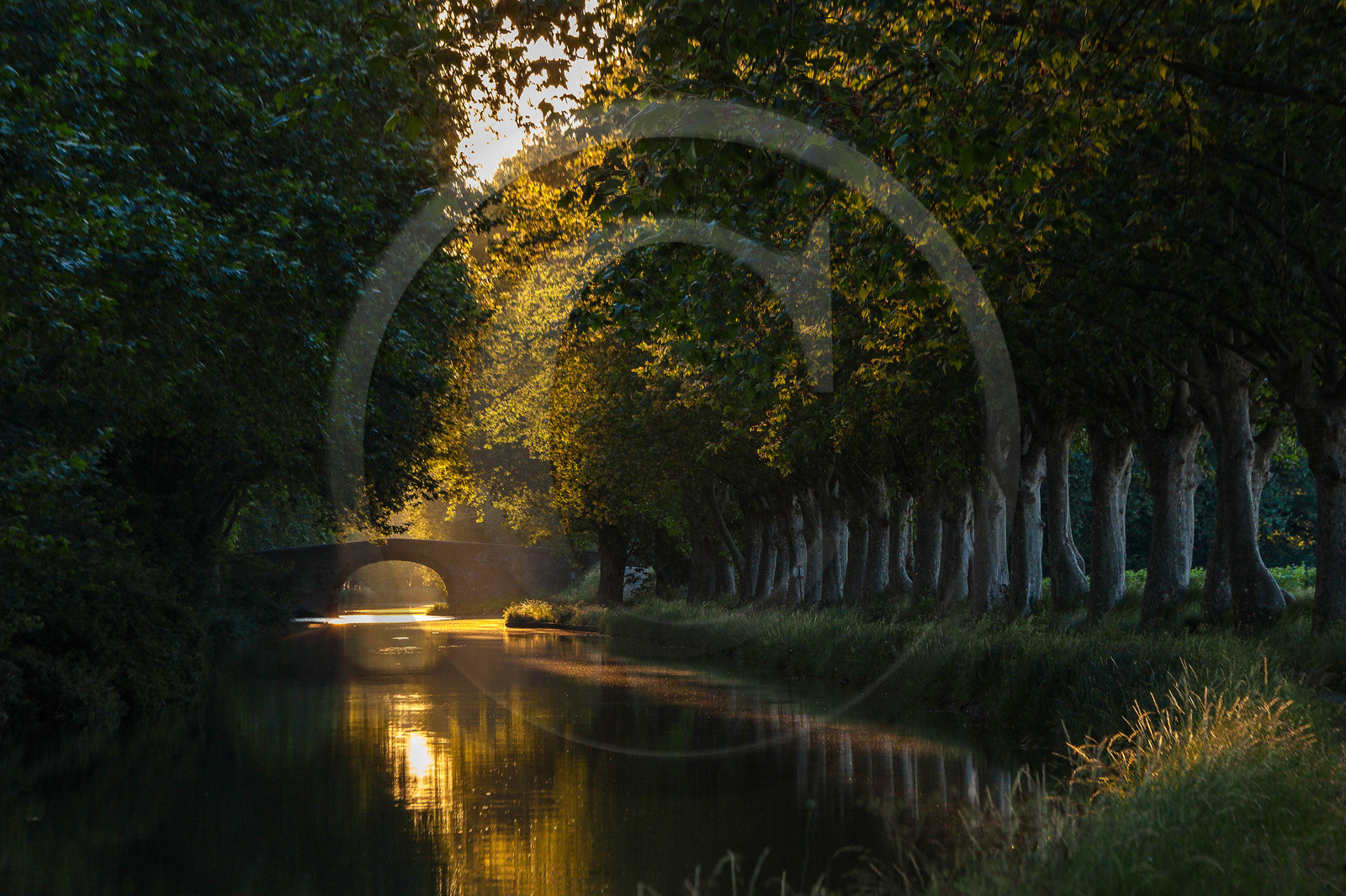 Canal du Midi, inscrit au Patrimoine mondial de l'UNESCO