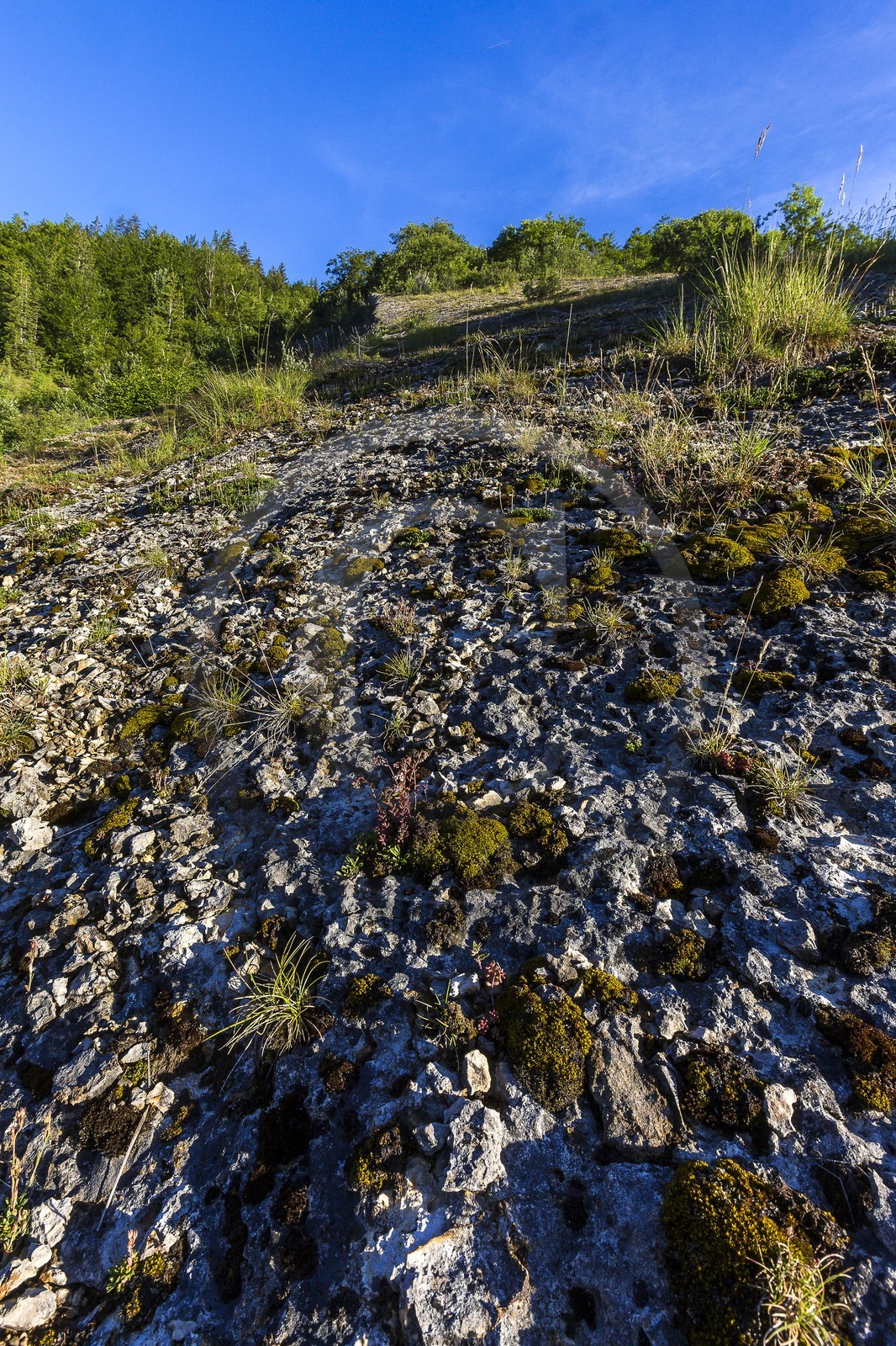ENS de l'Isère, vallée fossile des Rimets