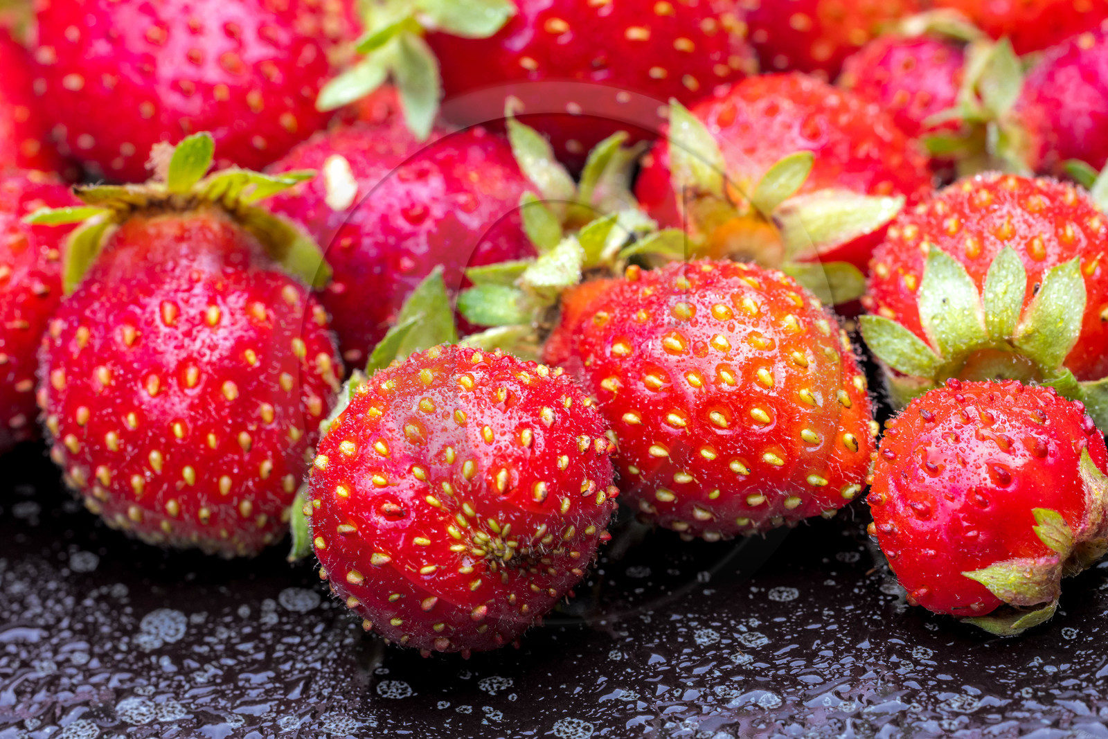 Ecrins de fruits, producteur de fruits rouges