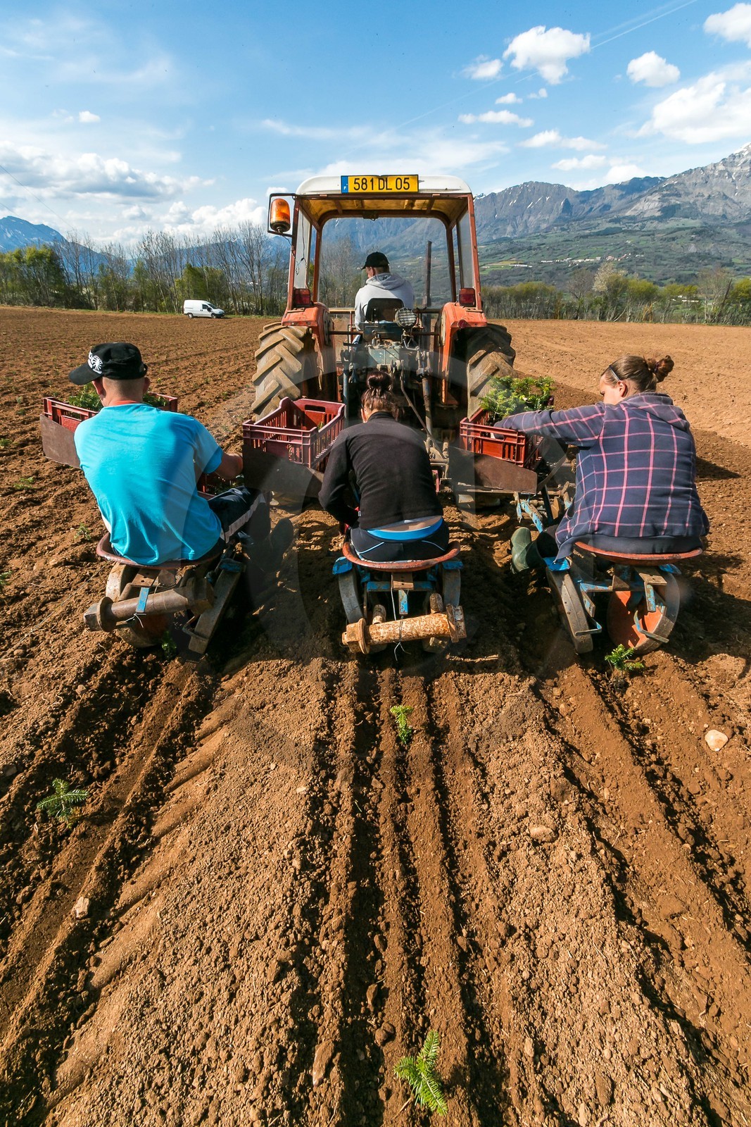Pépinière Robin, producteur de sapin de Noël