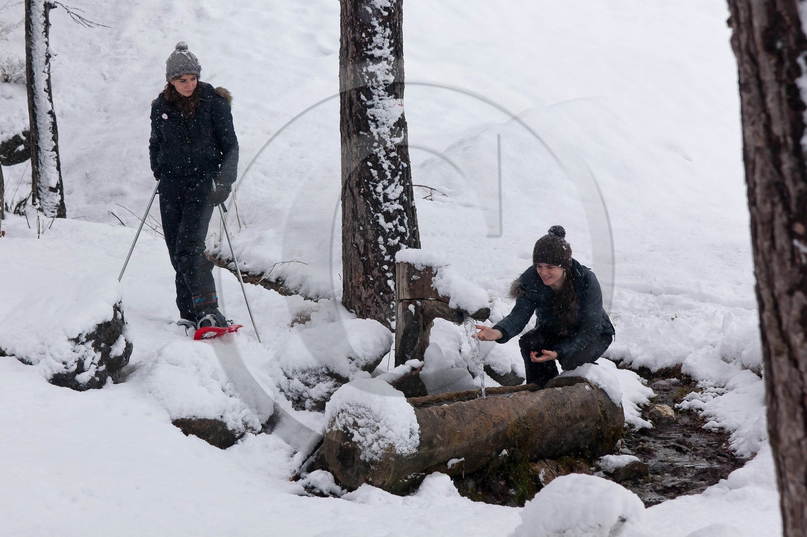 Randonnée, balade en raquettes à neige