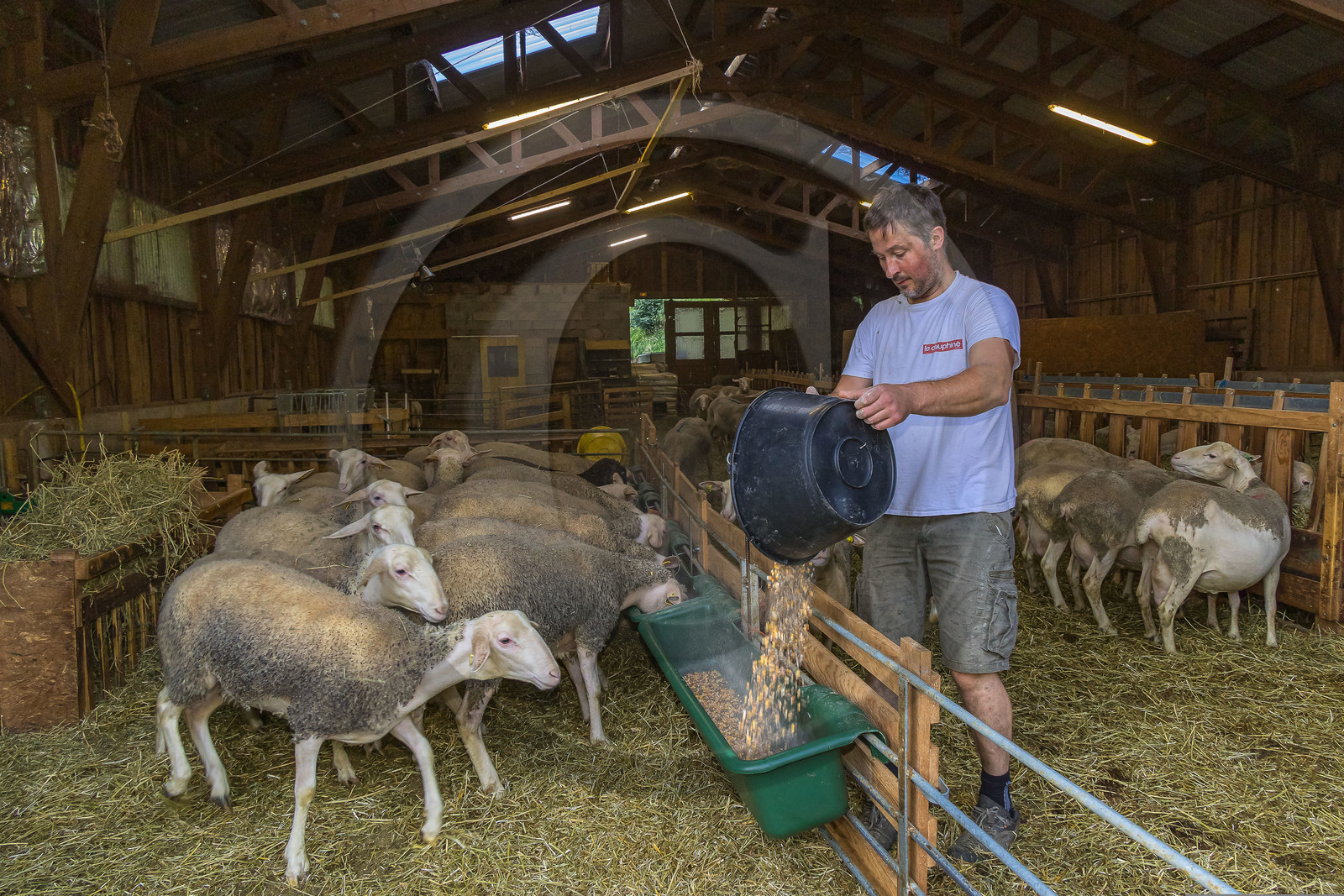 Bergerie de la Lignarre