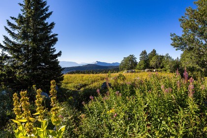 ENS de l'Isère, Plateau de la Molière et du Sornin, du plateau de Sornin