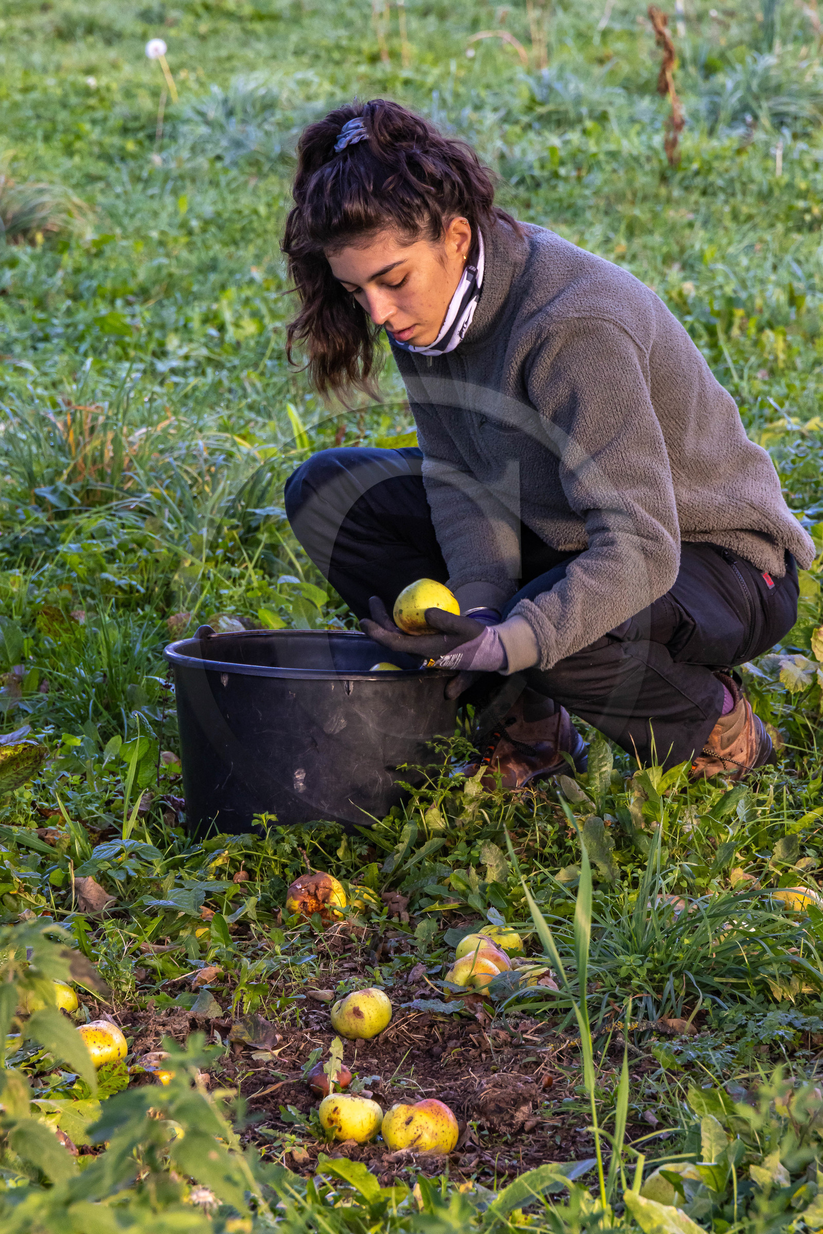 Etablissement Gayral, producteur de jus