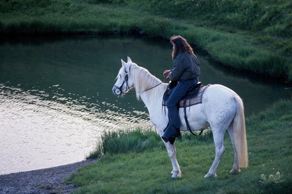 Equitation