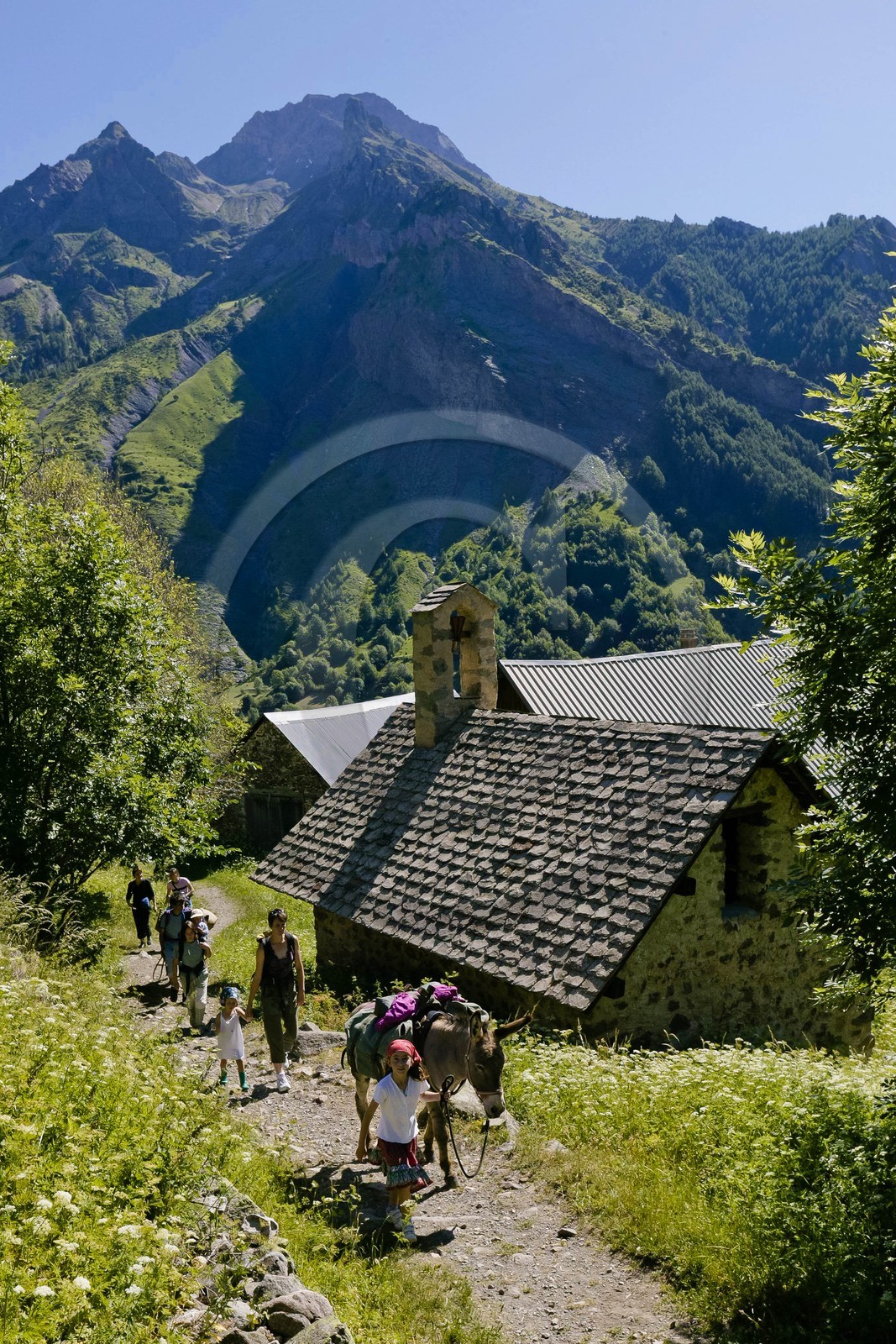 Sentanes, randonnée pédestre avec des ânes