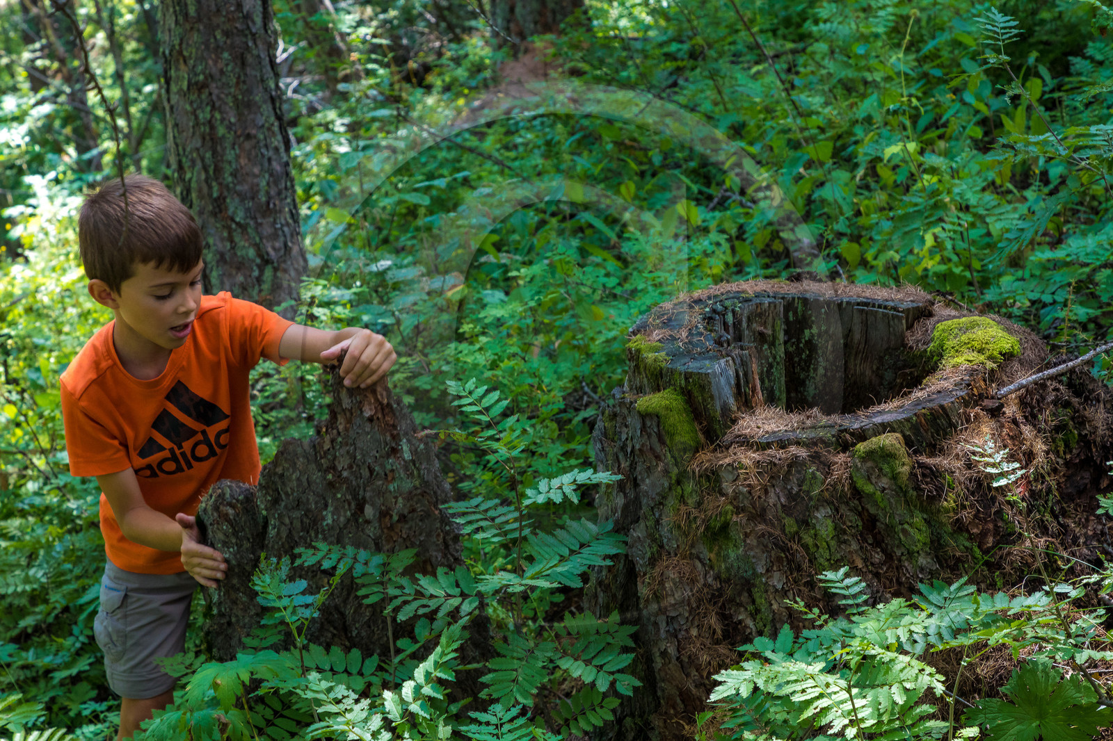 Curieux de nature, sortie découverte avec Cyril Mahout