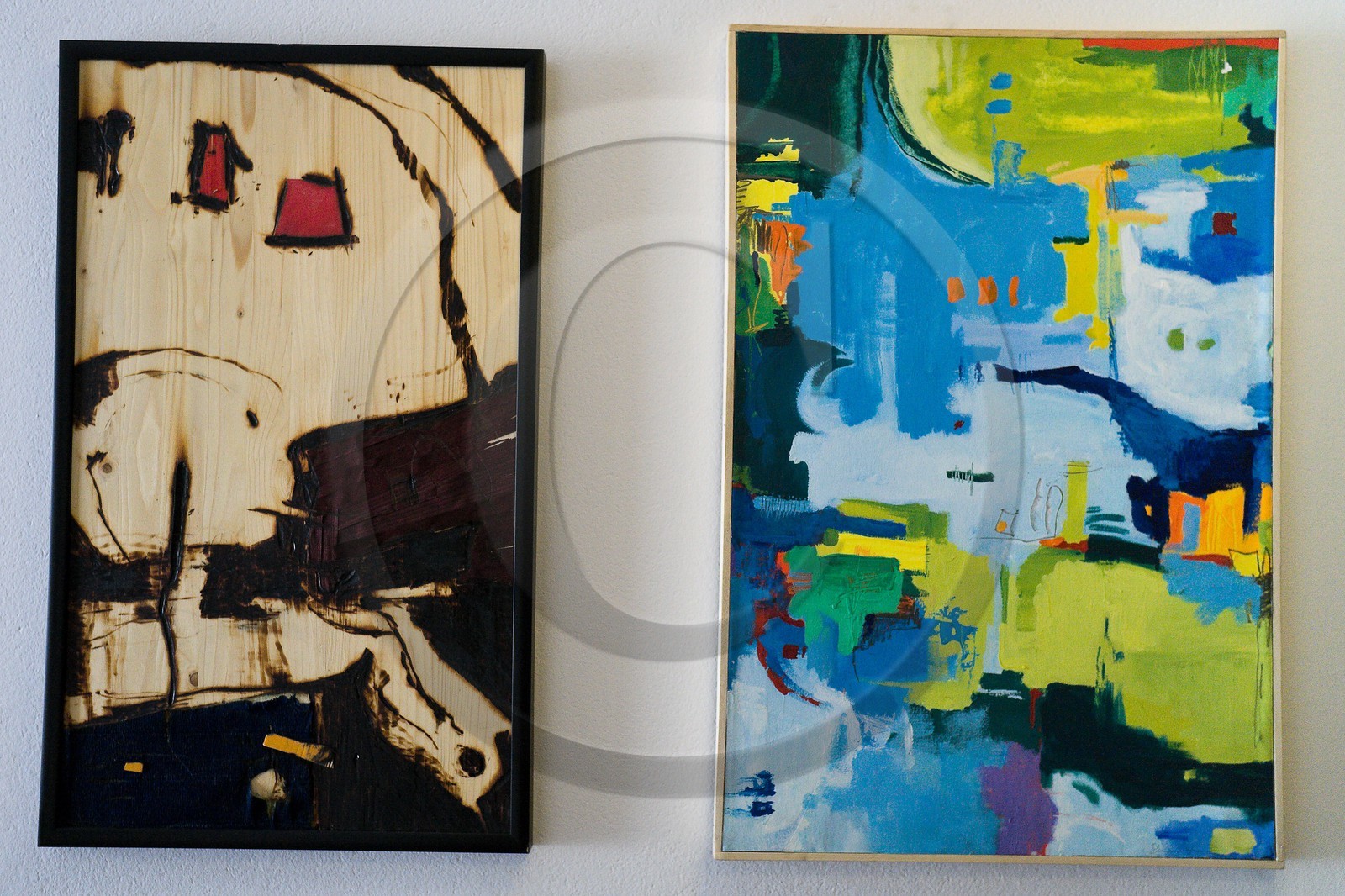 Dina Jaksic, artiste peintre