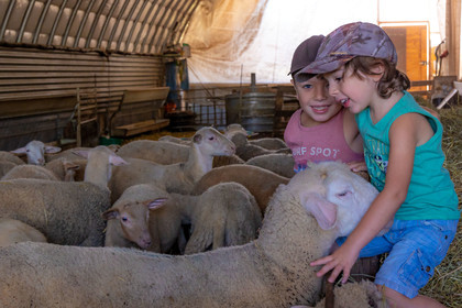 Ferme des Bichoux