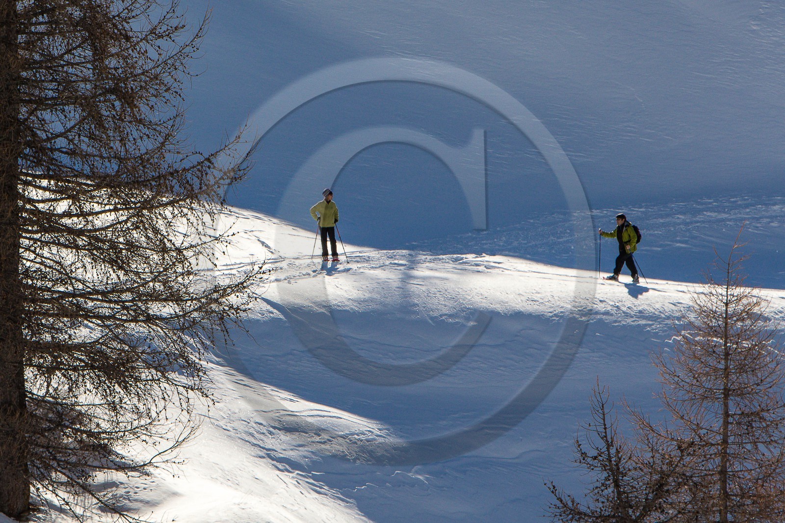 Col de Larche, vallon du lauzanier, randonnée raquettes