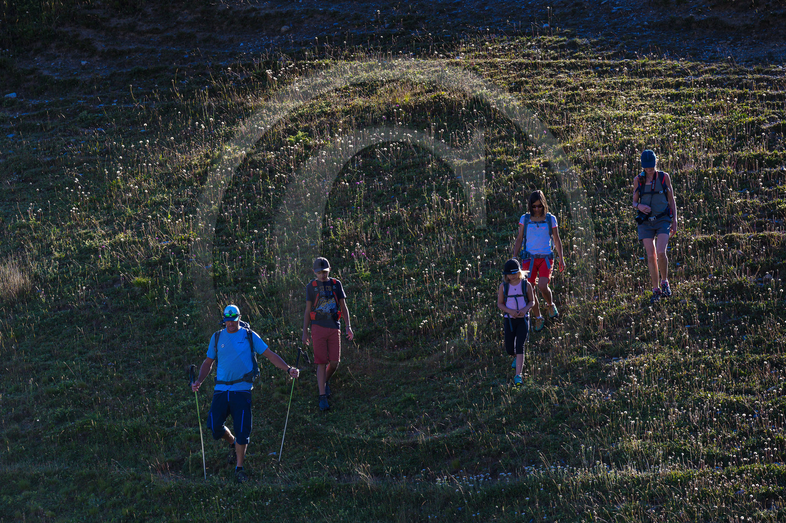 Plateau d'Emparis, randonnée pédestre