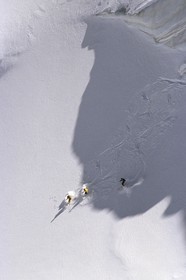Ski poudreuse