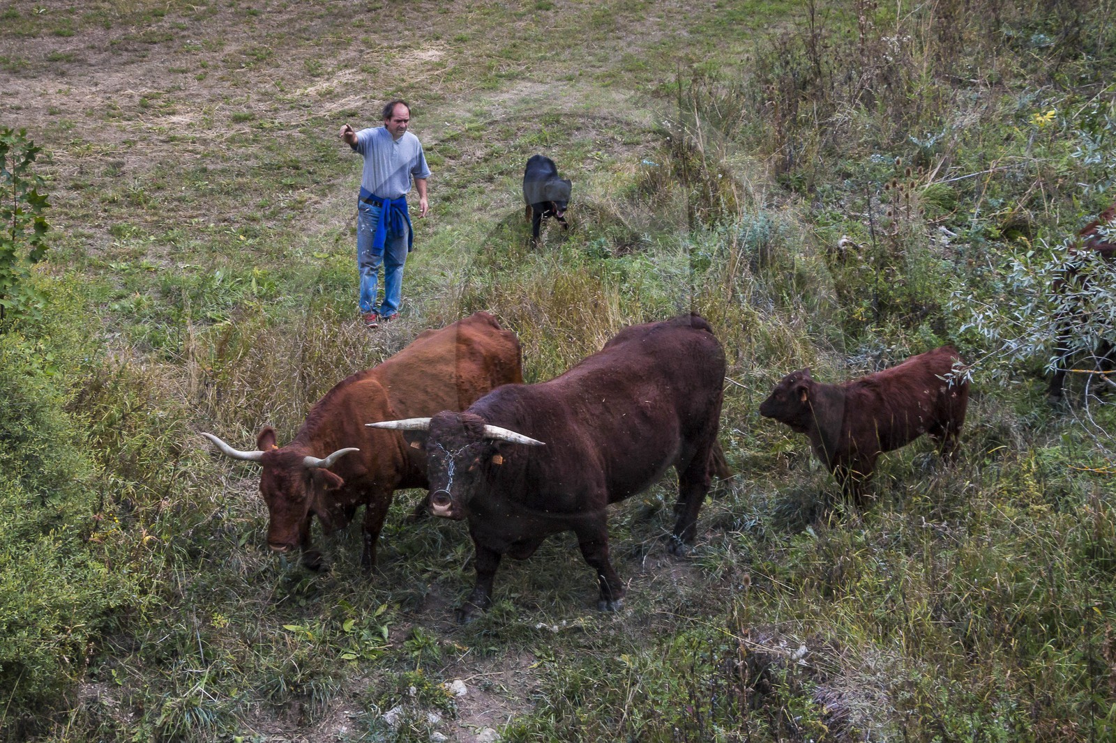 Valderoure, Stéphane et Valérie Maillard