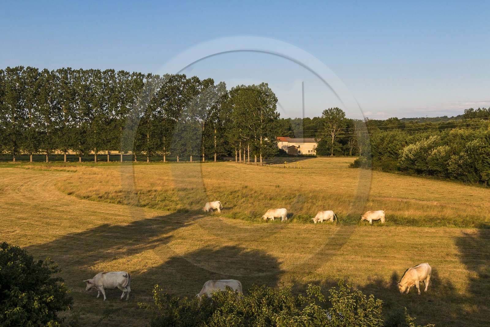 ENS de l'Isère, Prairies inondables de Pont-Évêque