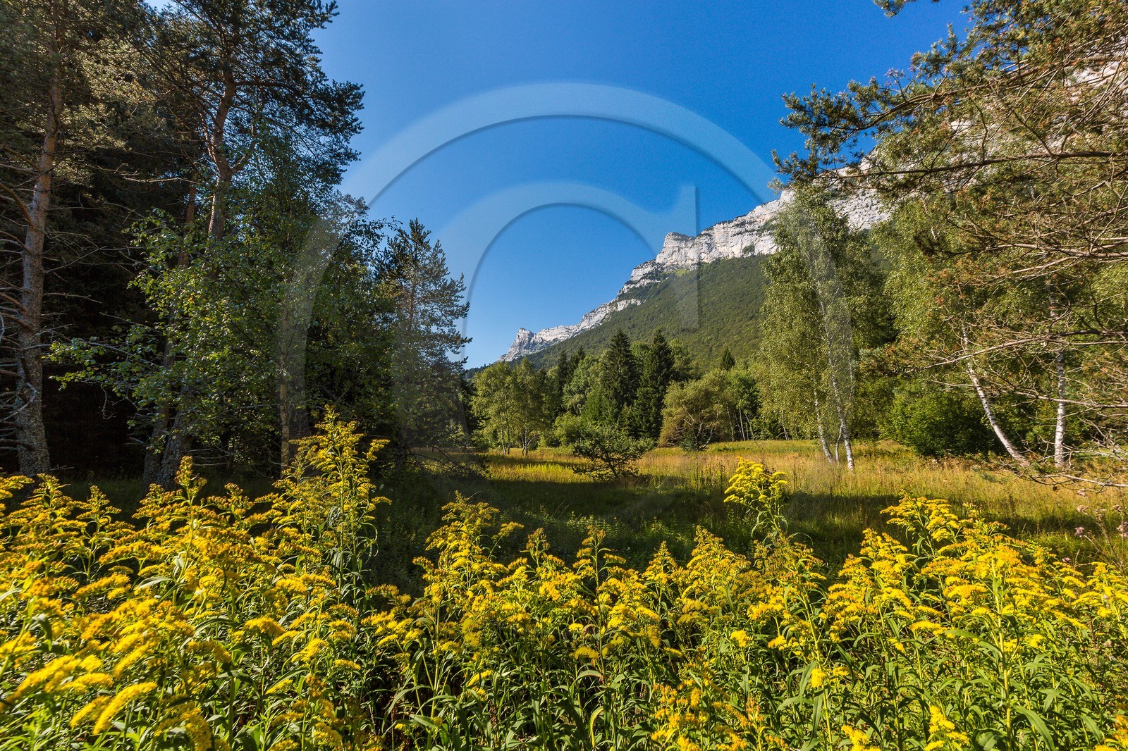 ENS de l'Isère,Tourbières du Peuil