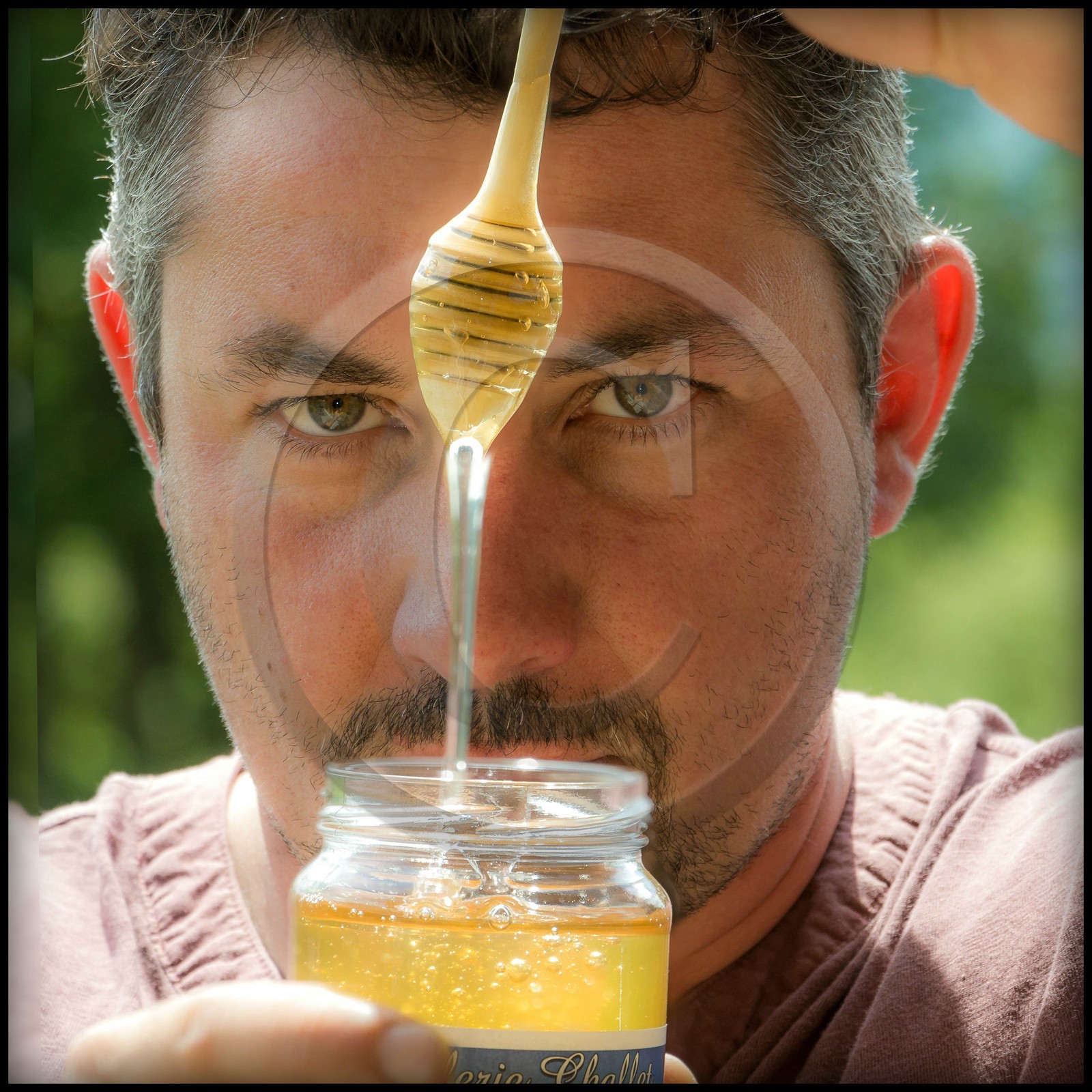 Vallée du Champsaur, miellerie Challet, Geoffrey Challet apiculteur