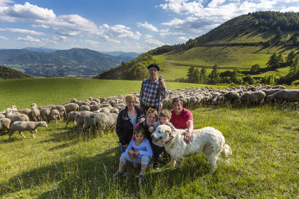Ferme des Sonnailles, élevage et vente direct d'agneau